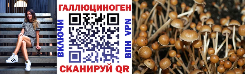 Псилоцибиновые грибы Cubensis  Невьянск 